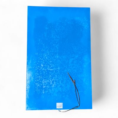 Homag Weeke Bircher Trittmatte Sicherheits-Schaltmatte ESM-21, 750 x 1200 mm blau 121019-001