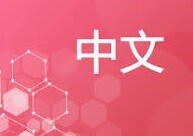 CHINESE 中文