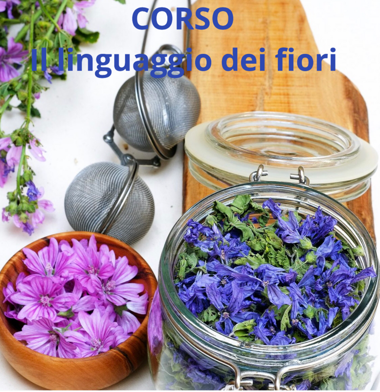 Corso Linguaggio dei fiori