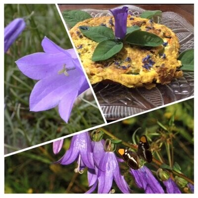 Sali Fiori Erbe Spezie