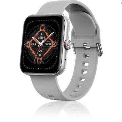 Orologio Smartwatch Unisex David Lian New York Grigio DL116
