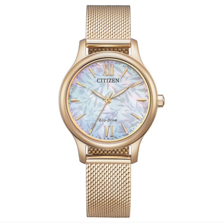 CITIZEN Lady Solo Tempo Eco Drive EM0892-80D. Orologio da Polso Donna