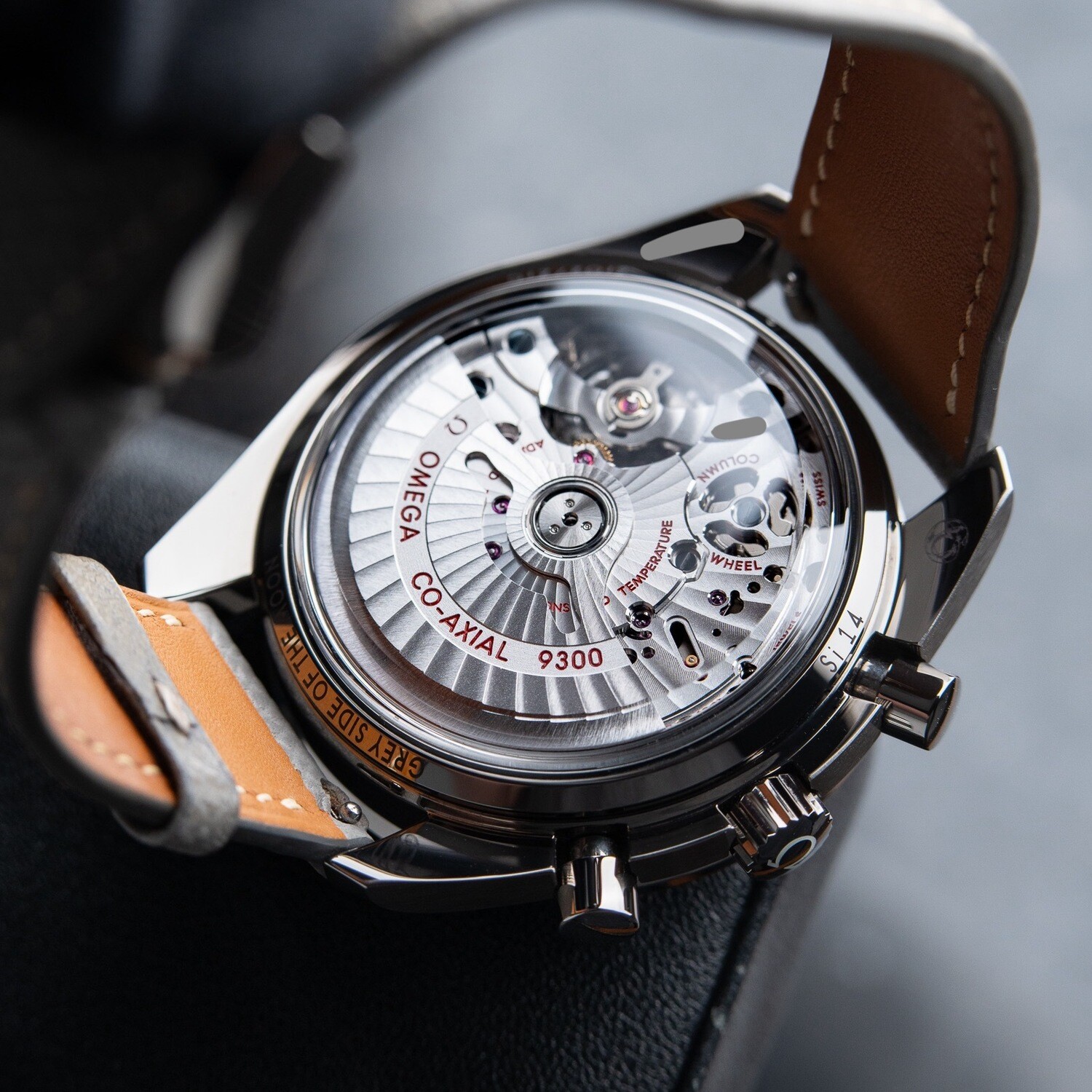Omega Speedmaster Grey Side Of The Moon Platinum Dial