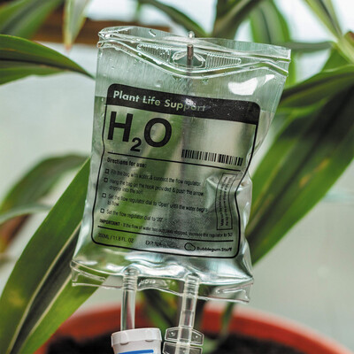 Plant life support: infuzija za biljke