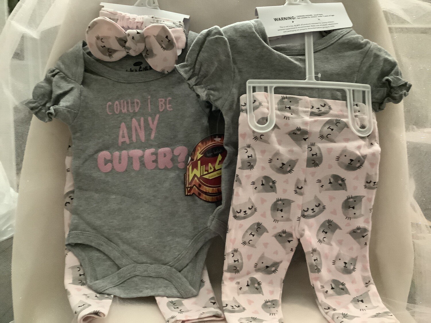 Baby Clothing Set - Could I Be Any Cuter 3/6M