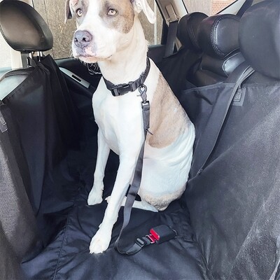 Tubular Dog Seat Tether™