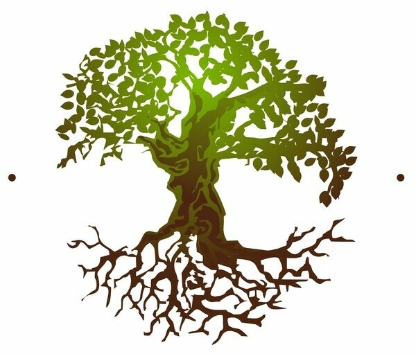 Shoppe With Coach Cas