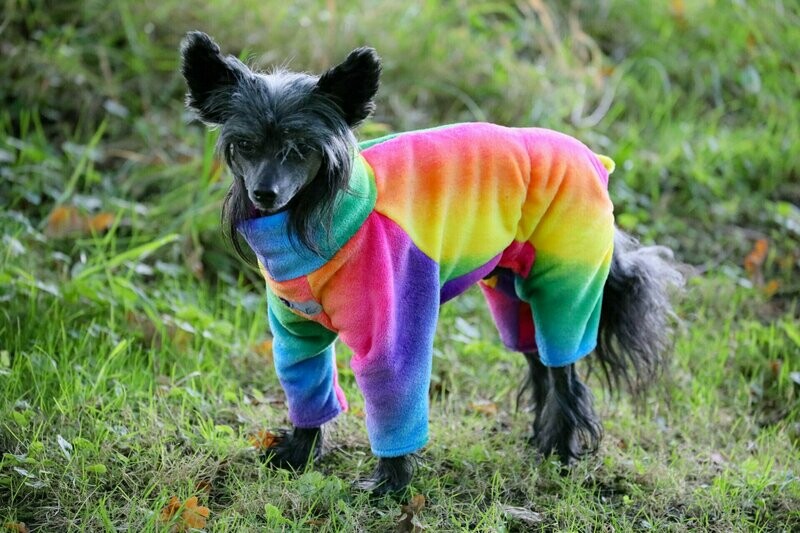 Overall Overall "Rainbow extreme"