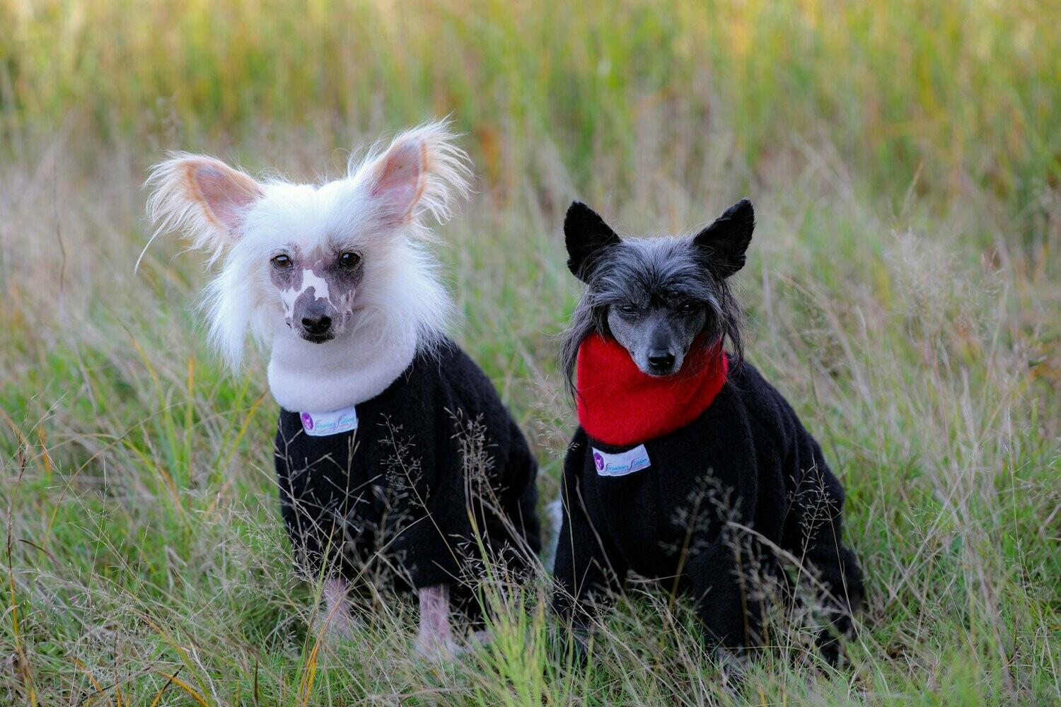 Letzter dicker Winter-Fleece-Overall "Unico" für Hündinnen in P 8 