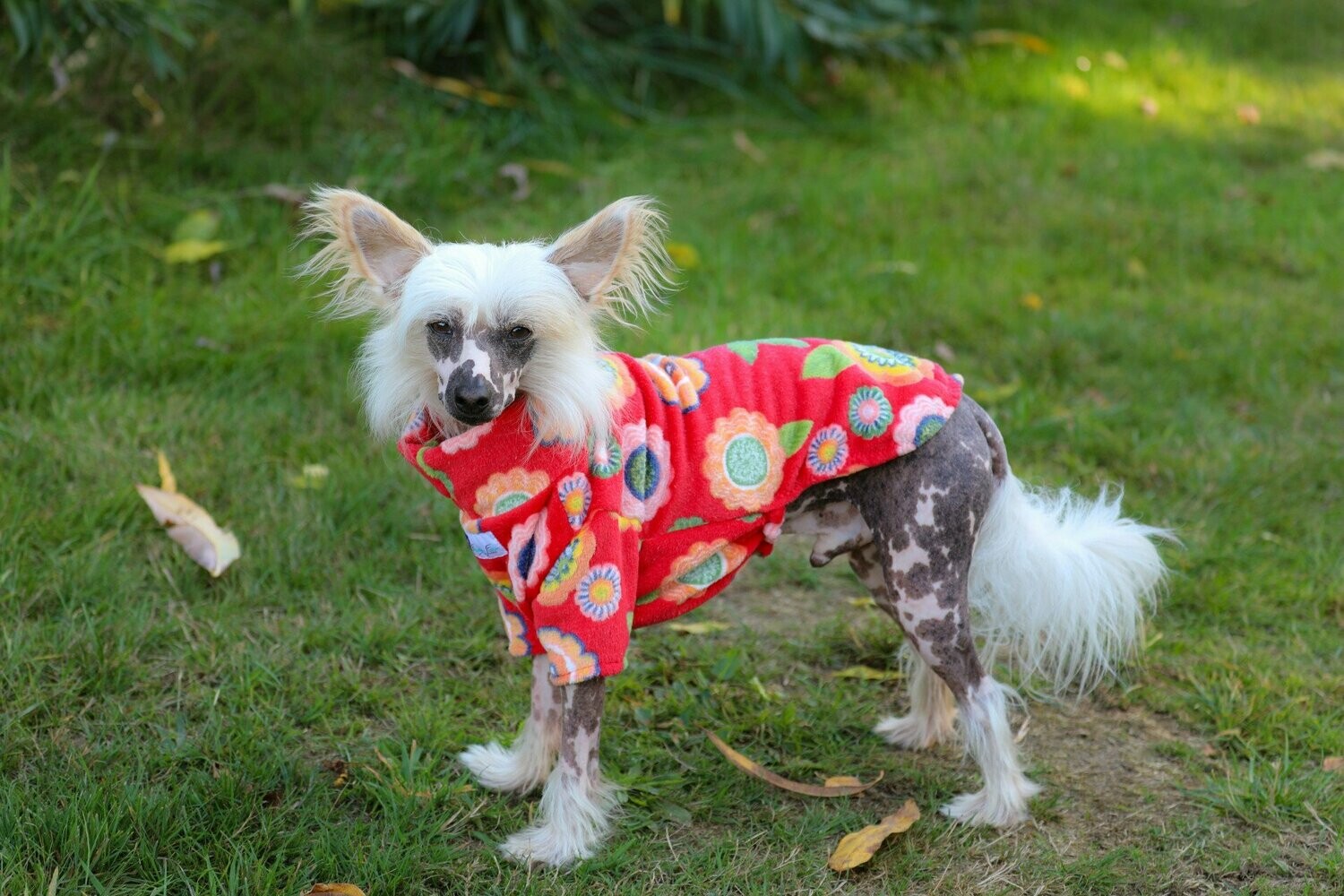 "FlowerPower" - Pulli