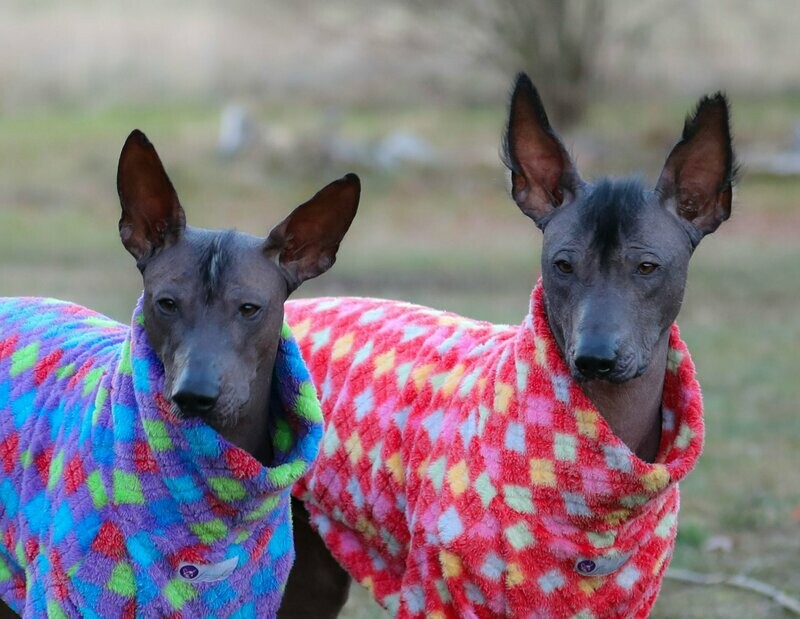"Rauten-Pulli"