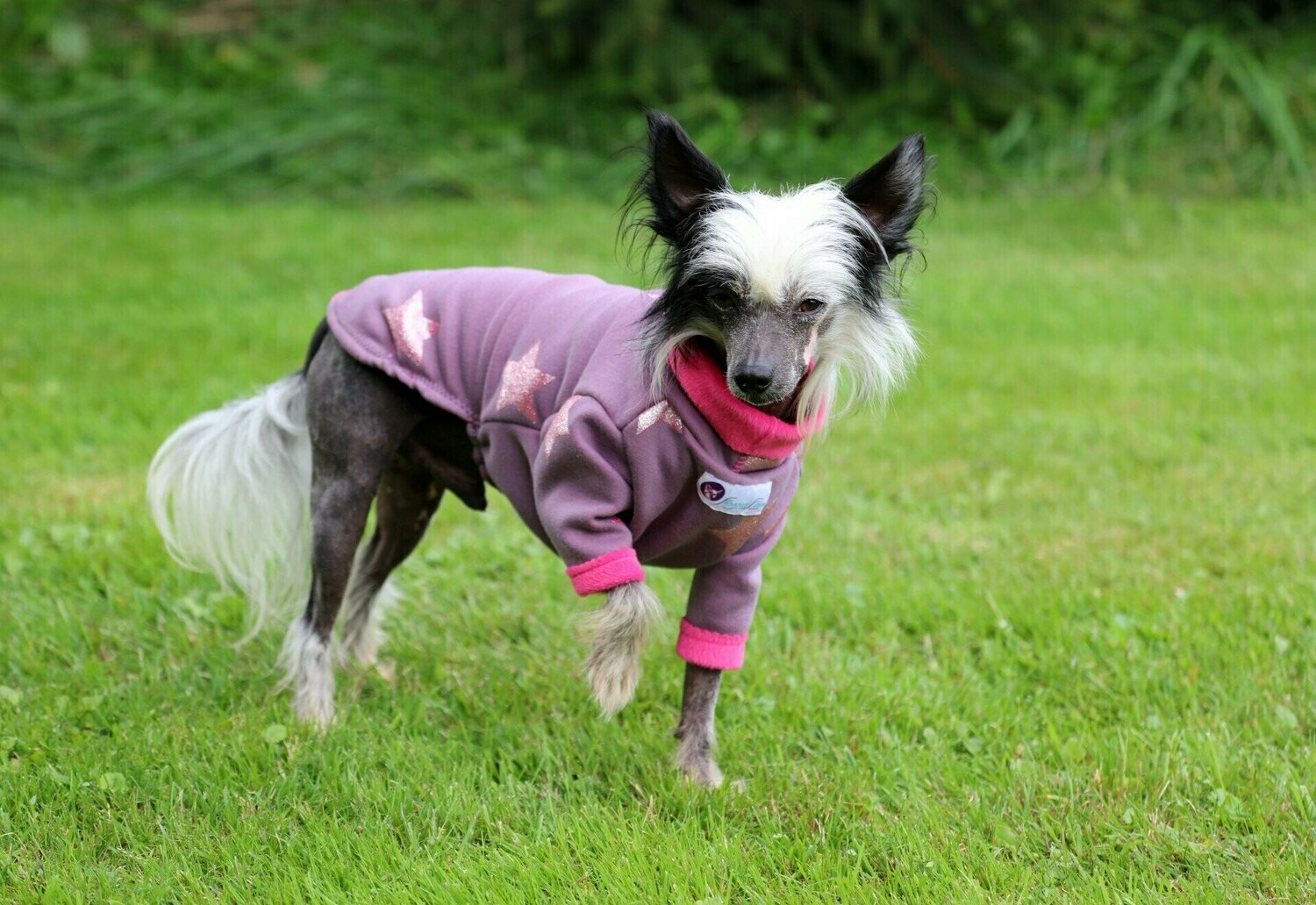 Pulli "Estrella" nur noch in Gr. P 3