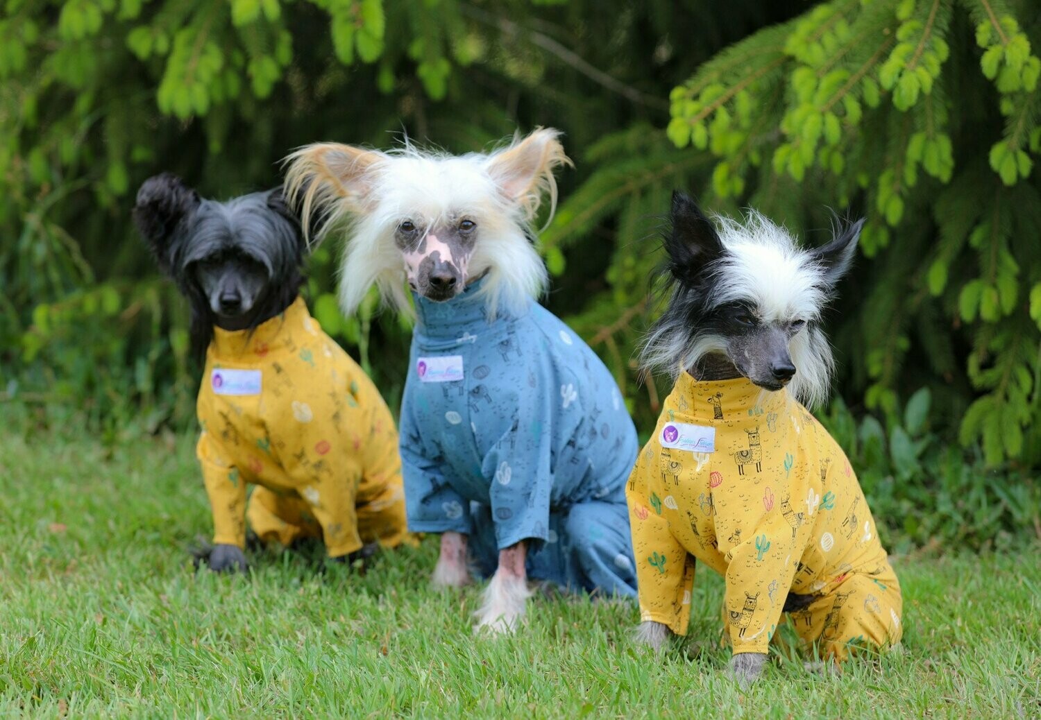 Freizeitoverall "Lama" für Rüden