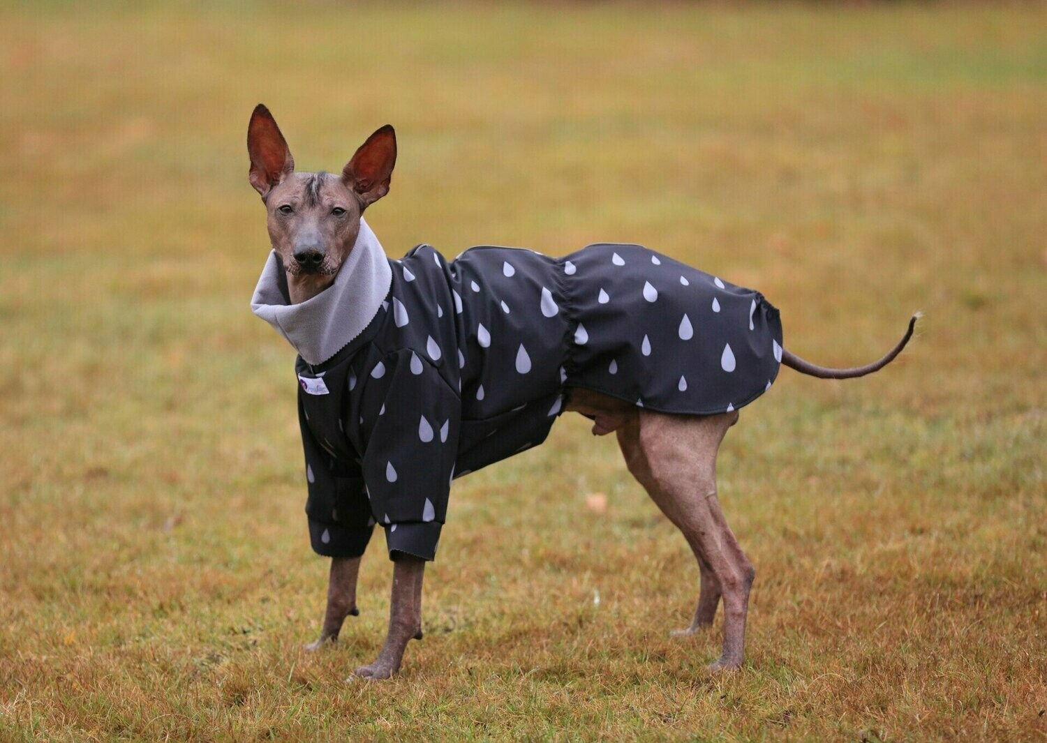 Softshell-Cape "Raindrops"
