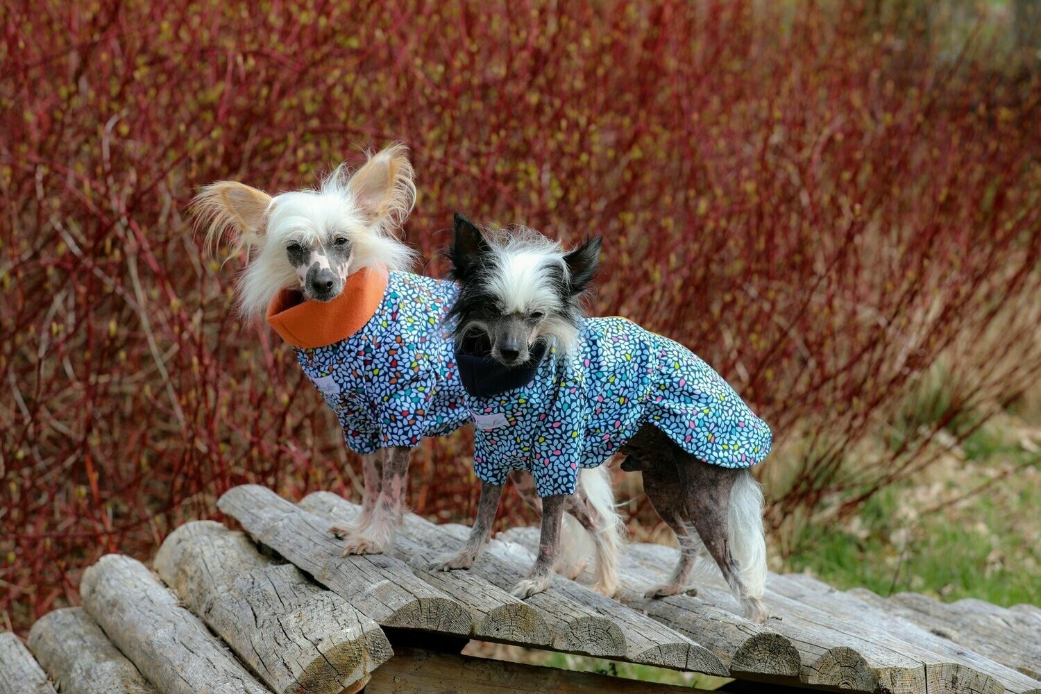 Softshell-Cape "Blue Blossom" und "Orange Blossom"
