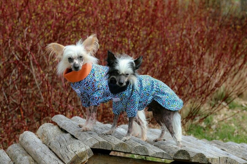 Softshell-Cape Softshell-Cape "Blue Blossom" und "Orange Blossom"