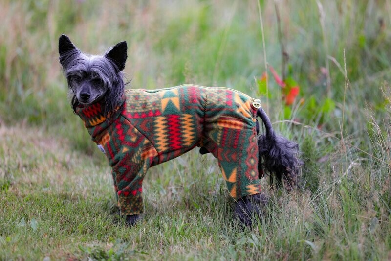 Fleece-Overall Fleece-Overall "ViVa Mexico"