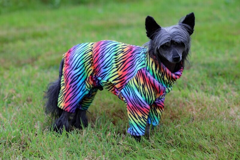 Kuscheliger Overall Kuscheliger Overall "Rainbow-Tiger"