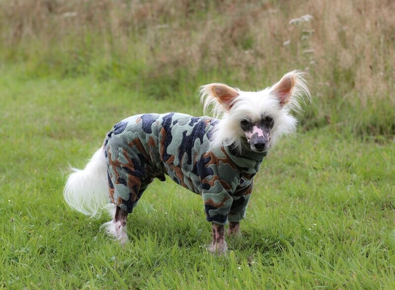 "Flauschiflage" - Overall aus Wellness-Fleece für Rüden nur noch in P 2
