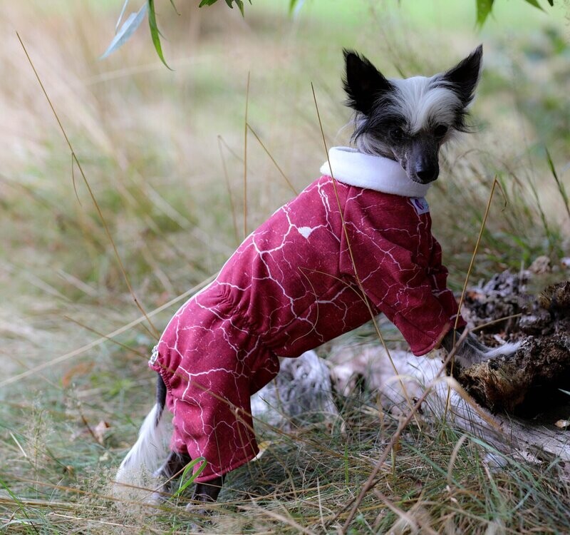 Alpen-Fleece-Overall Alpen-Fleece-Overall "Roter Marmor" für Hündinnen