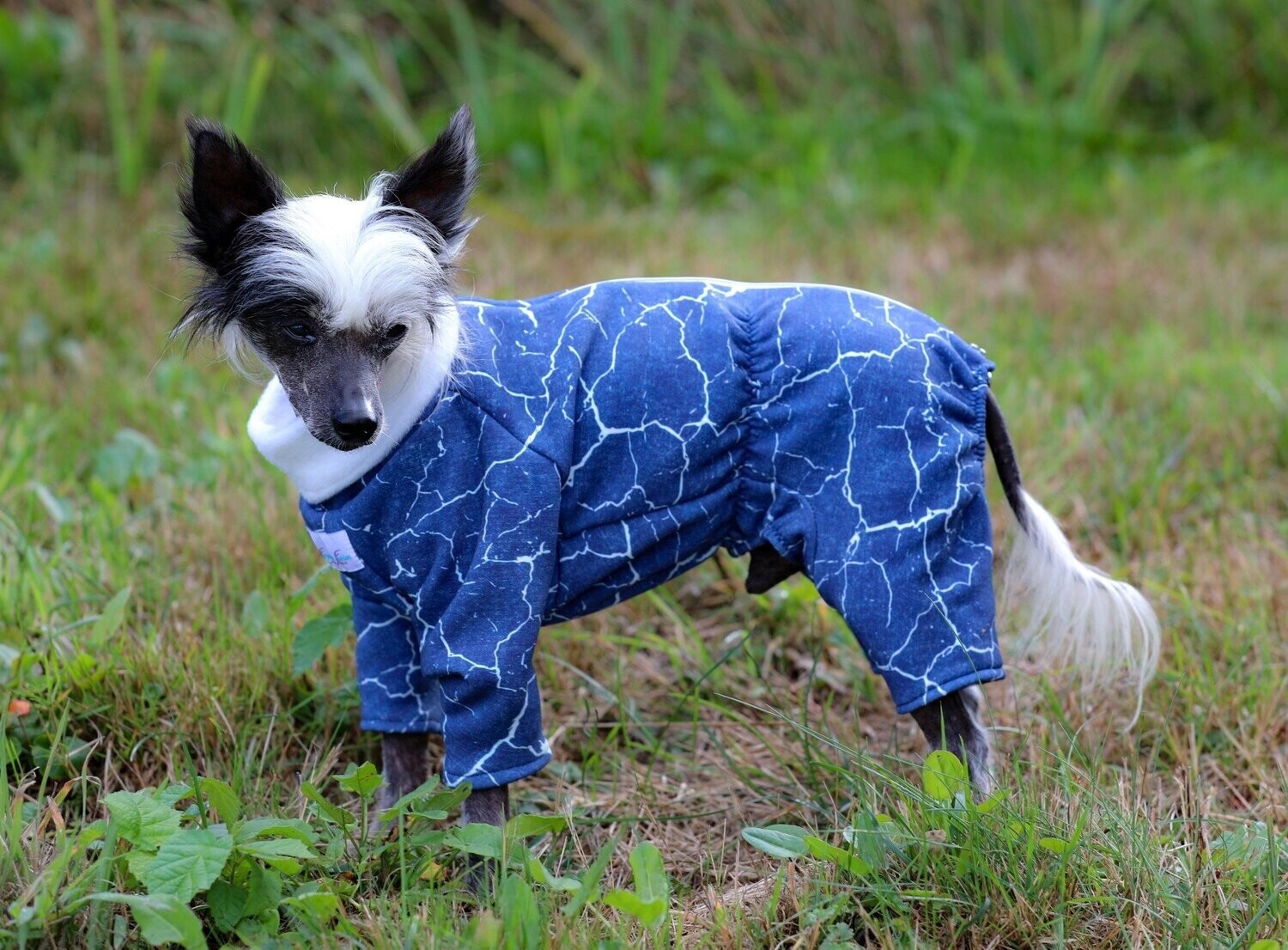 Alpen-Fleece-Overall "Blauer Marmor" für Rüden