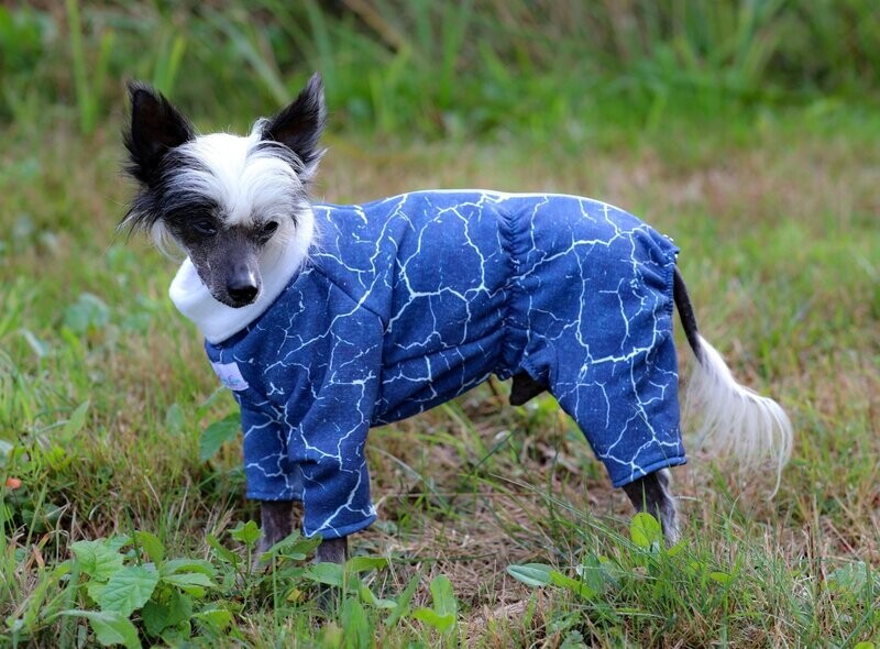 Alpen-Fleece-Overall Alpen-Fleece-Overall "Blauer Marmor" für Rüden