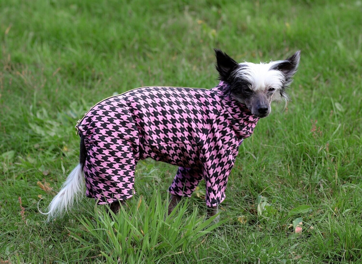 Overall "Pink Pepita" für Hündinnen