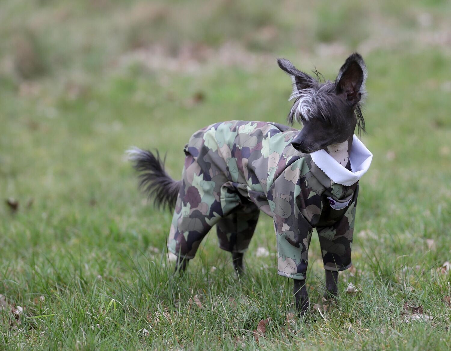 Softshell-Overall "Perro"