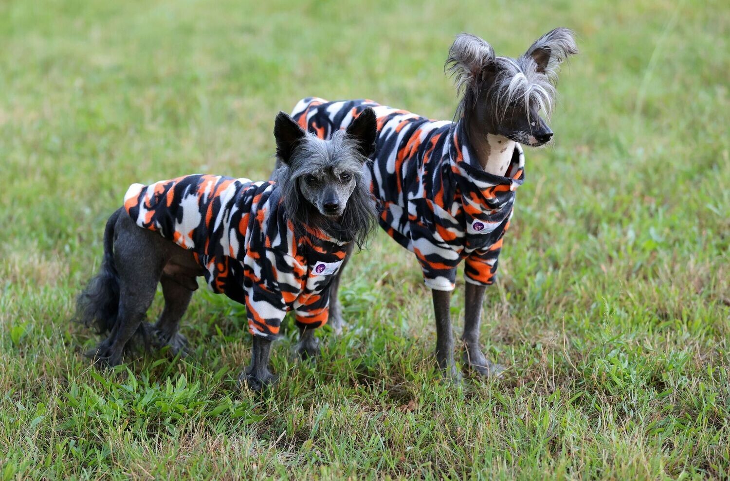 Pulli Orangeflage