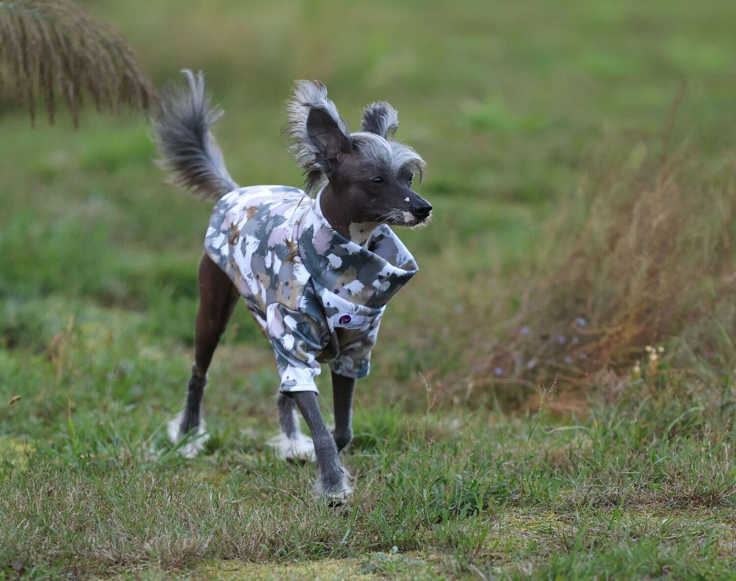 PowerPulli