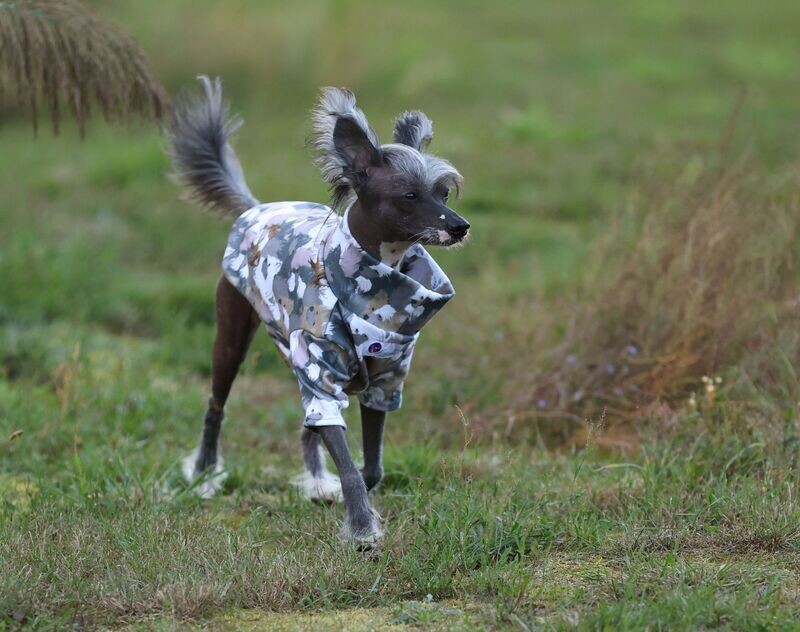 PowerPulli