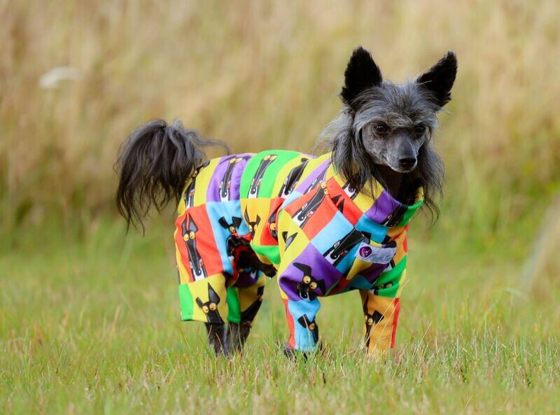 Fleece-Overall Fleece-Overall "Kunterbunter Hund"