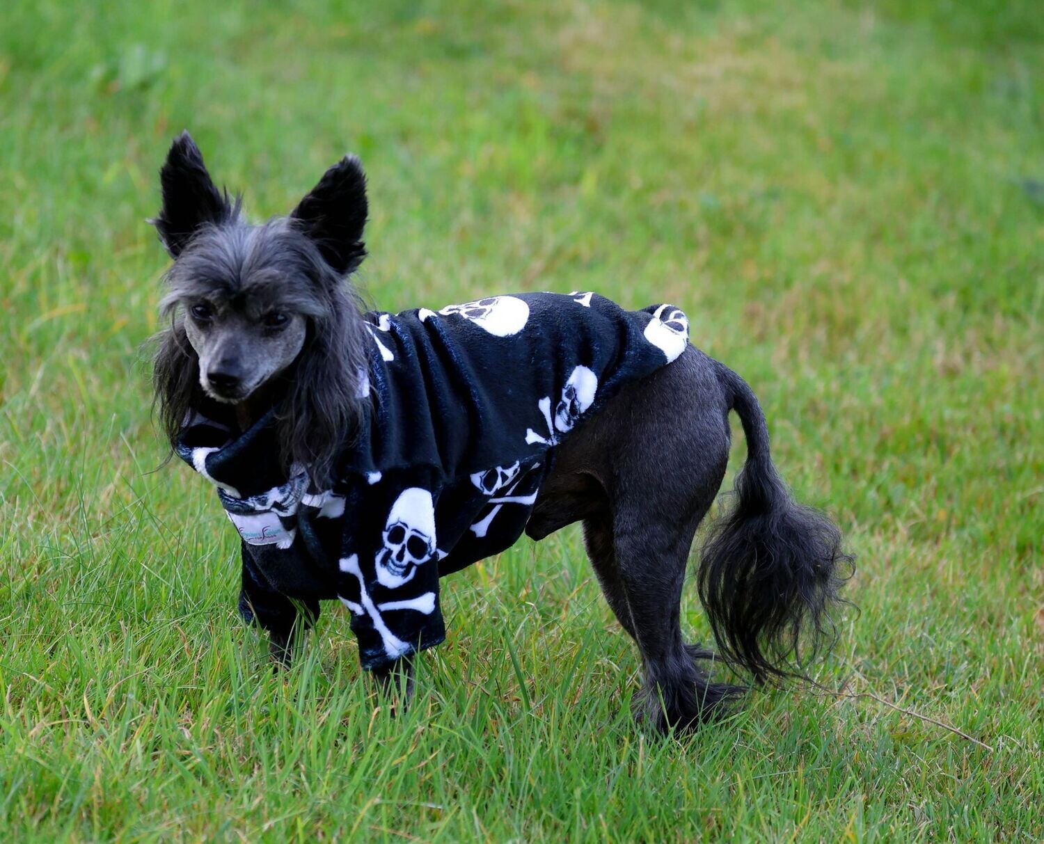 Wellness-Pulli "Calavera", Größe: P1