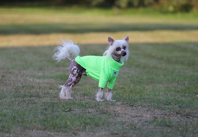 NEON-Pulli "Crazy Lemon" und "Bright Yellow"