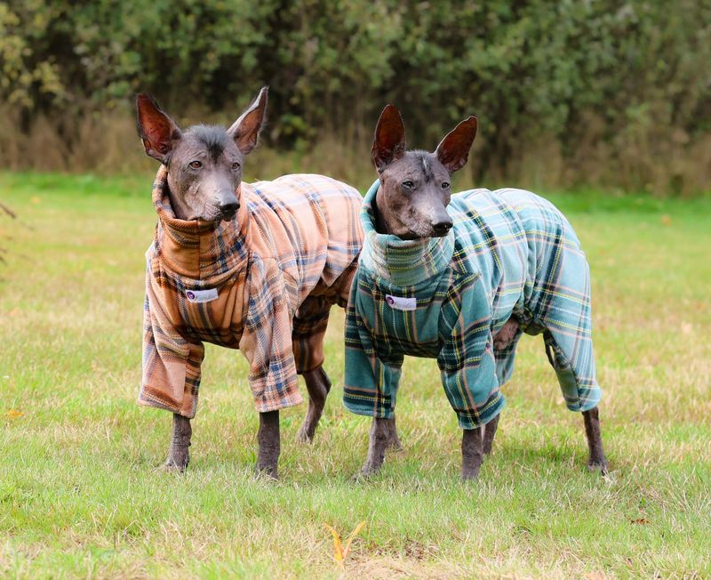 Wellness-Fleece Overall Wellness-Fleece Overall "Earl Green" und "Earl Honey" für Rüden
