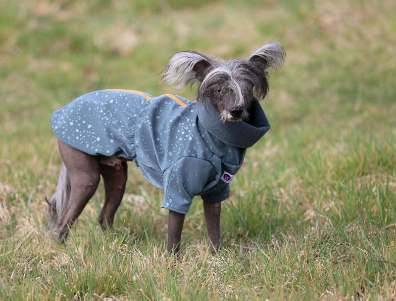 Sonderedition: Softshell-Cape Sonderedition: Softshell-Cape "Monsun"