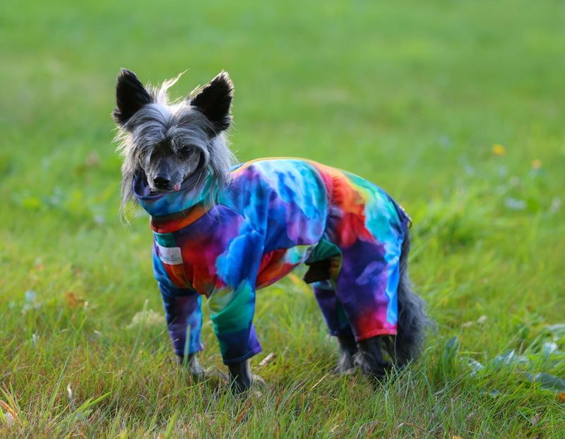 Wolkiger Overall  Wolkiger Overall "Cumulus"