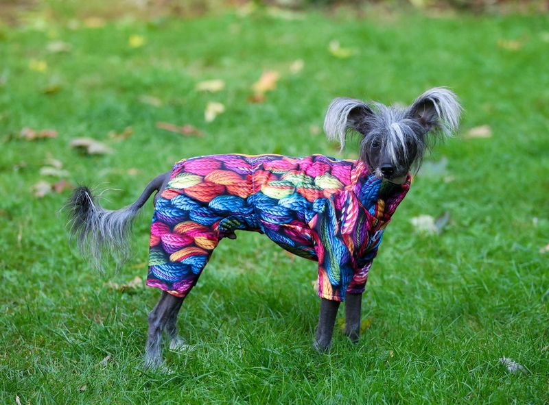 Schicker Overall  Schicker Overall "Lana" in Strickoptik