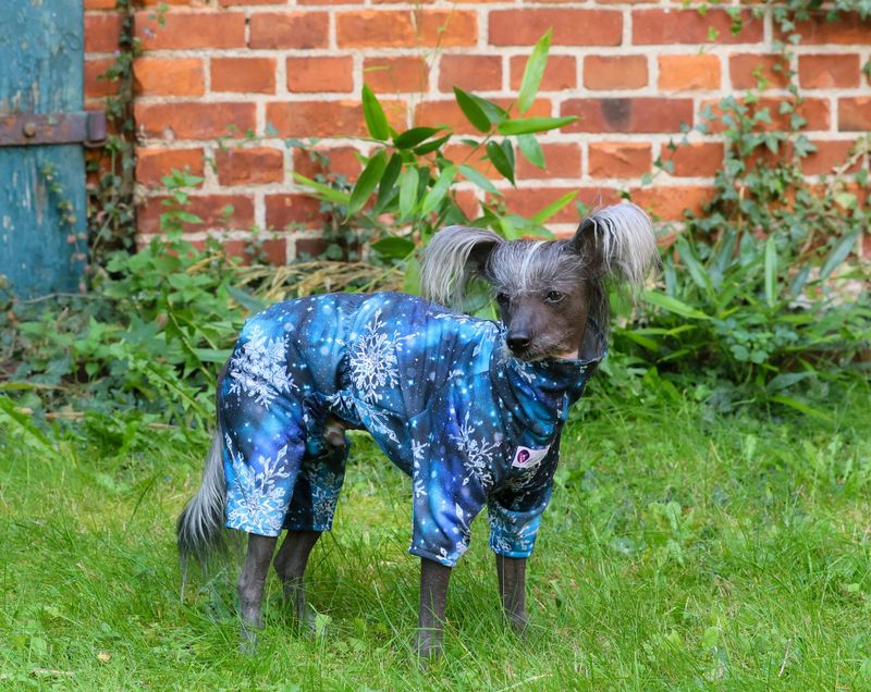 Wunderschöner  Overall  Wunderschöner  Overall "Eisblume"  für Rüden