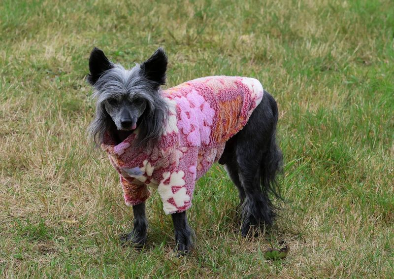 Flauschiger Pulli  Flauschiger Pulli "Eiskristall" in zwei Farbvarianten