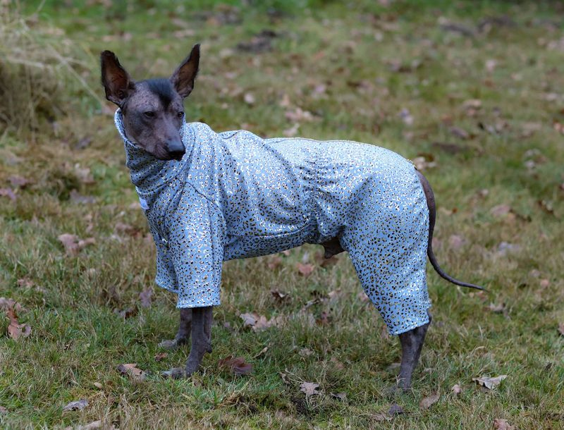 Extravaganter Alpenfleece-Overall "Golden Leo" für Hündinnen