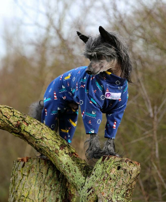 Reduziert: Hausanzug "Maritim" für Hündinnen