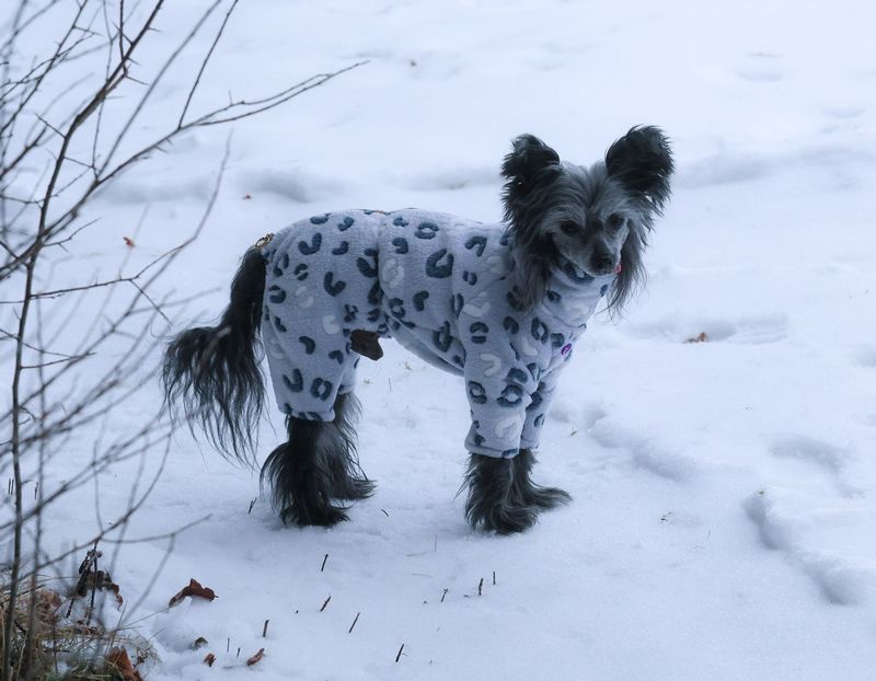 Superweicher Superweicher "Ice Blue Leopard"-Overall für Hündinnen und Rüden