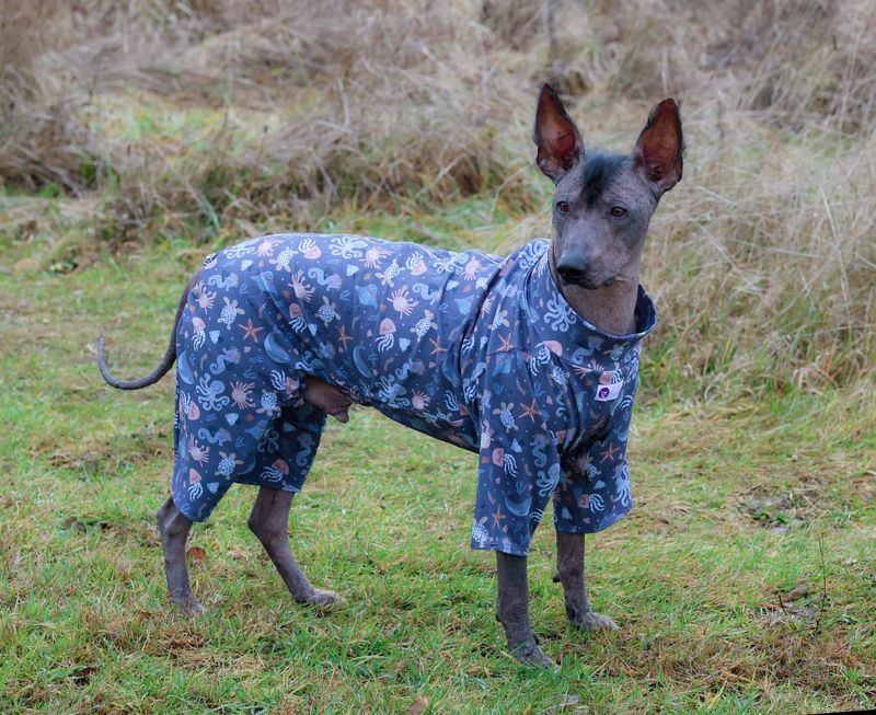 Overall "Ocean Dreams" für Rüde und Hündin