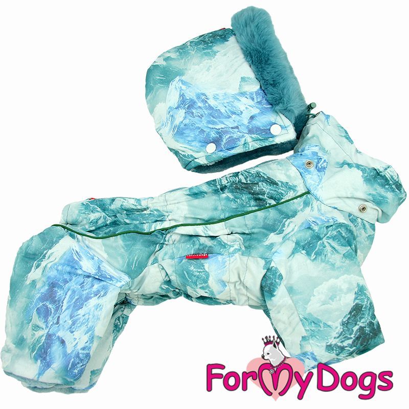 Winter/Schnee-Overall Winter/Schnee-Overall "Frozen Mint" für Rüden