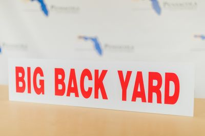 BIG BACKYARD