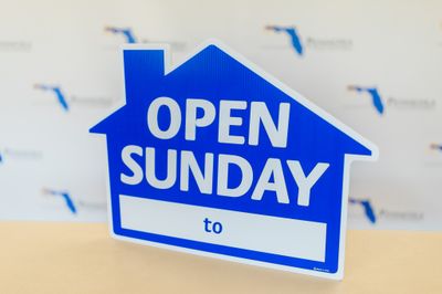 OPEN SUNDAY HOUSE BLANK TO BLANK Blue