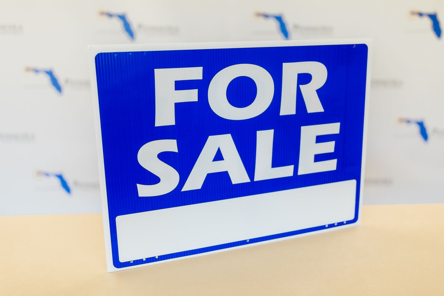 FOR SALE LARGE PANEL Blue