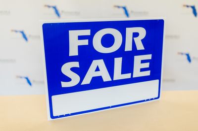 FOR SALE LARGE PANEL Blue