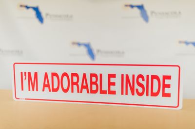 I'M ADORABLE INSIDE BLUE